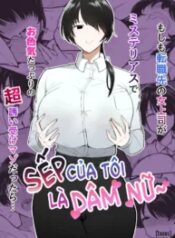 truyen-moshimo-tenshoku-saki-no-onna-joushi-ga-misuteriasude-o-iroke-tappuri-no-chou-sasoi-uke-mazodattara.jpg